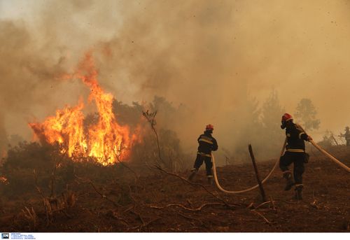 Δραματικές ώρες στην Εύβοια: Άπαντες στη μάχη μην φθάσει η φωτιά σε Ιστιαία ή Αιδηψό - πράσινος τύπος